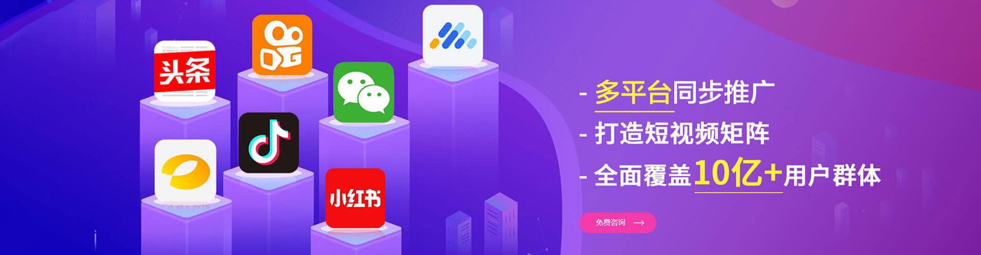 紫金sem代运营
